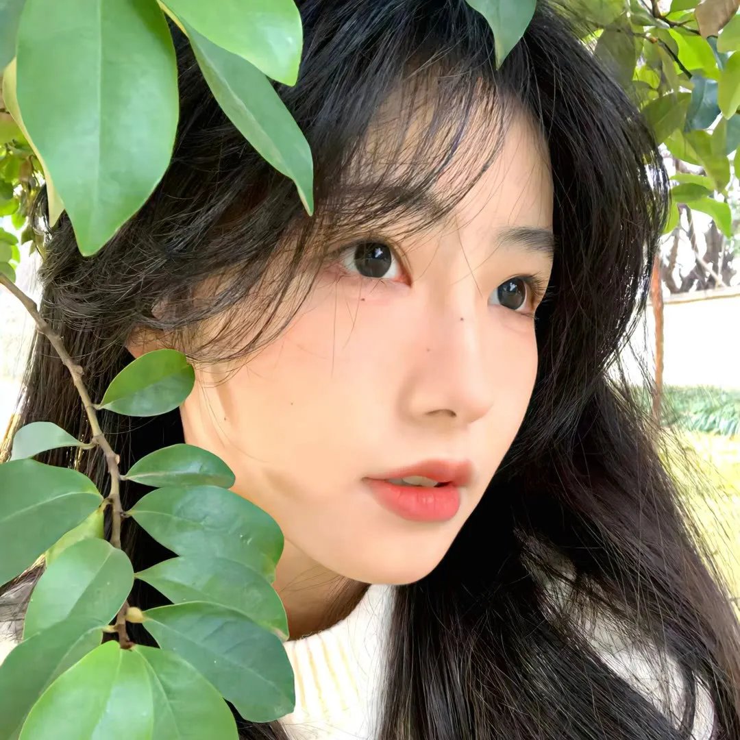 我的法国电影之旅