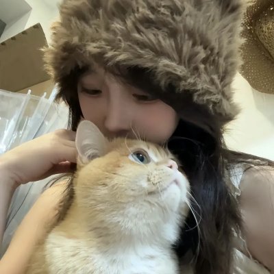 风尘舞蝶